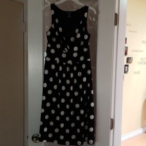 Chaps womans polka dot dress